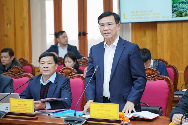 Tập đoàn T&T Group đề xuất nghiên cứu đầu tư nhiều dự án trọng điểm tại Lâm Đồng - Ảnh 3.