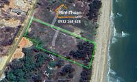 LÔ ĐẤT BIỂN HIẾM 6000 M2 GẦN NOVAWORLD PHAN THIẾT, CÓ THỔ CƯ VỚI HÀNG DƯƠNG XANH VÀ BÃI CÁT DÀI TUYỆT ĐẸP