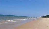 LÔ ĐẤT BIỂN HIẾM 6000 M2 GẦN NOVAWORLD PHAN THIẾT, CÓ THỔ CƯ VỚI HÀNG DƯƠNG XANH VÀ BÃI CÁT DÀI TUYỆT ĐẸP